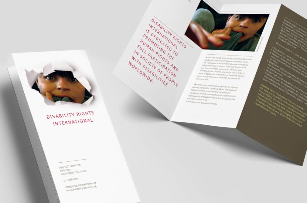 Disability Rights International Brochure